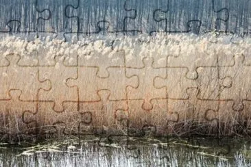 MARSU jigsaw puzzle