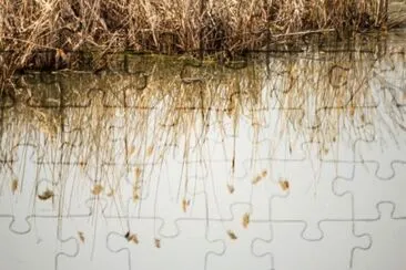 MARSU jigsaw puzzle