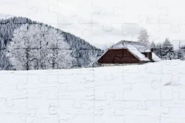 MARSU jigsaw puzzle