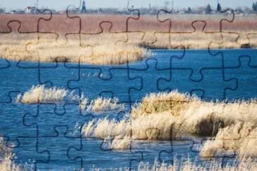 MARSU jigsaw puzzle