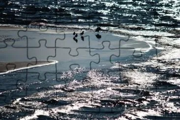 MARSU jigsaw puzzle