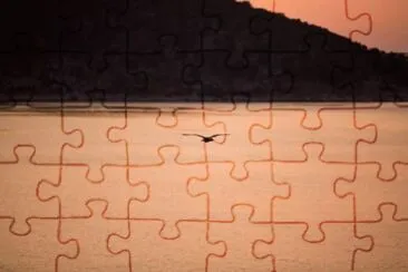 MARSU jigsaw puzzle
