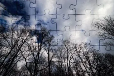 MARSU jigsaw puzzle