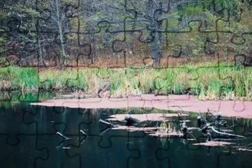 MARSU jigsaw puzzle