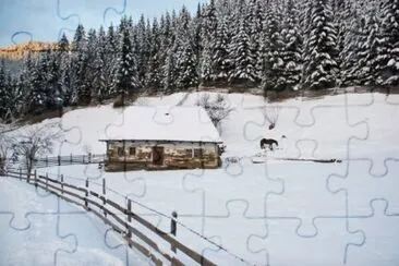 MARSU jigsaw puzzle
