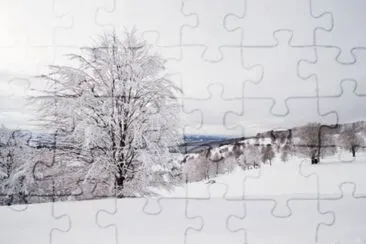 MARSU jigsaw puzzle