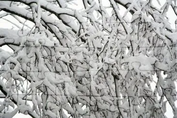 MARSU jigsaw puzzle