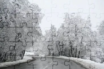 MARSU jigsaw puzzle
