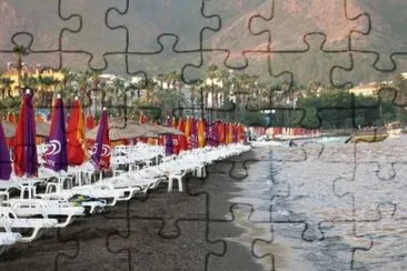 MARSU jigsaw puzzle