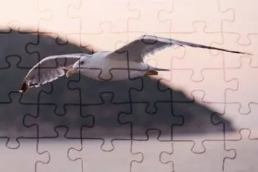 MARSU jigsaw puzzle