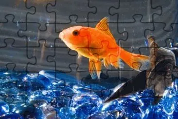 MARSU jigsaw puzzle