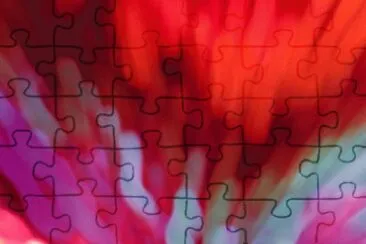 MARSU jigsaw puzzle