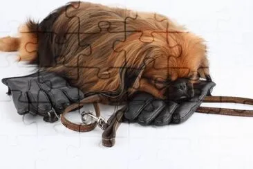 MARSU jigsaw puzzle