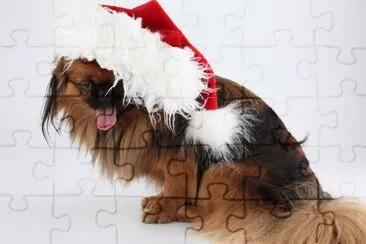 MARSU jigsaw puzzle