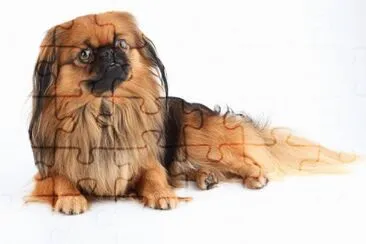 MARSU jigsaw puzzle