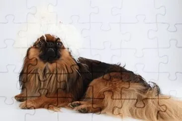 MARSU jigsaw puzzle
