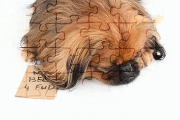 MARSU jigsaw puzzle