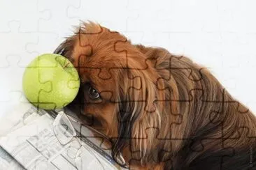 MARSU jigsaw puzzle