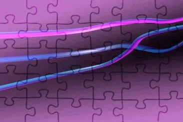 MARSU jigsaw puzzle