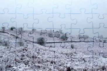 MARSU jigsaw puzzle