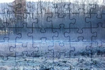 MARSU jigsaw puzzle
