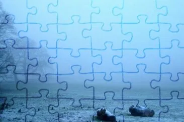 MARSU jigsaw puzzle