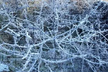MARSU jigsaw puzzle
