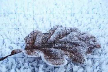 MARSU jigsaw puzzle