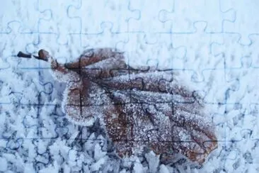 MARSU jigsaw puzzle