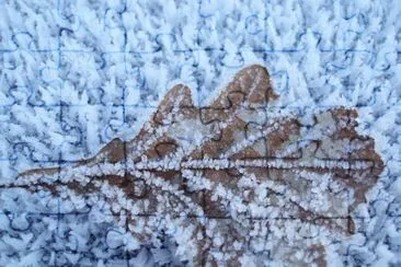 MARSU jigsaw puzzle
