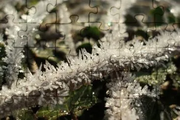 MARSU jigsaw puzzle