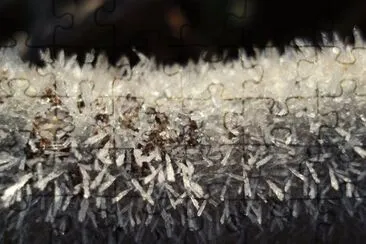 MARSU jigsaw puzzle