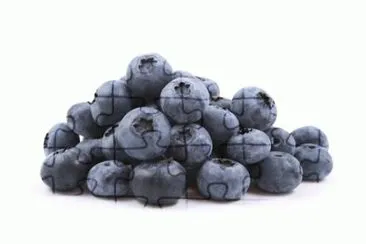 myrtilles jigsaw puzzle