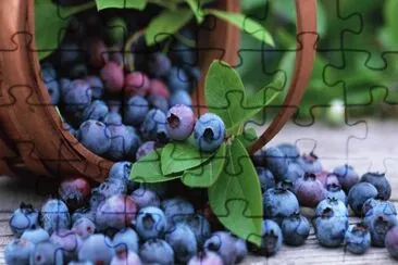 myrtilles jigsaw puzzle