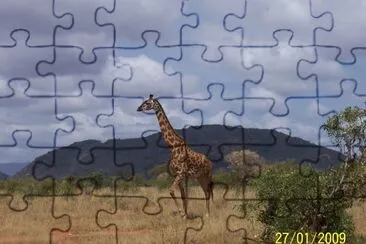KENIA jigsaw puzzle