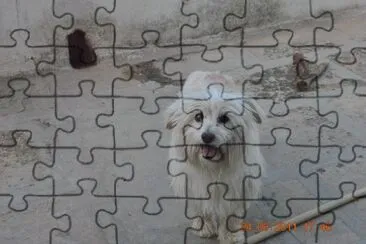 BIANCA jigsaw puzzle