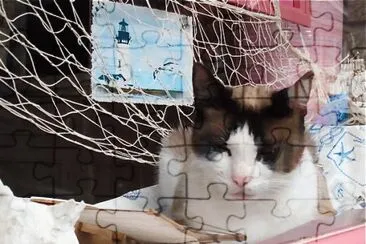 Gato jigsaw puzzle