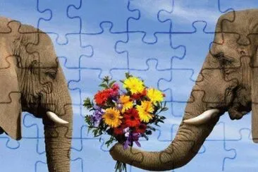 m jigsaw puzzle