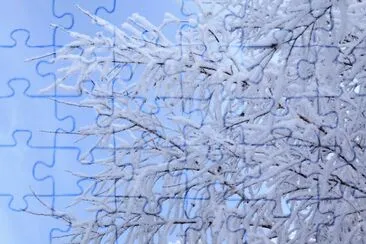 MARSU jigsaw puzzle