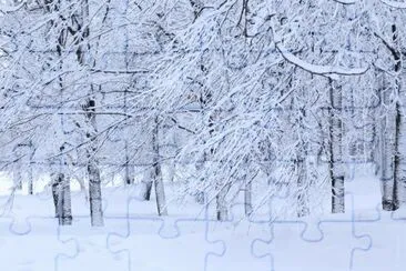 MARSU jigsaw puzzle