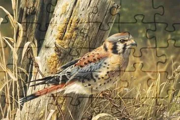 פאזל של Pintura