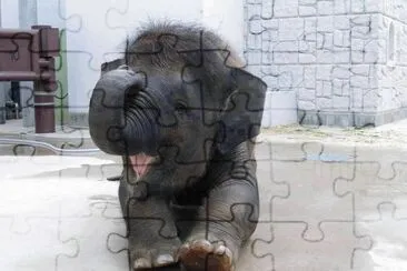 . jigsaw puzzle