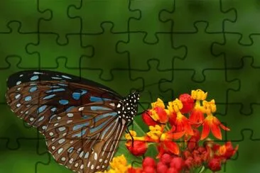 . jigsaw puzzle