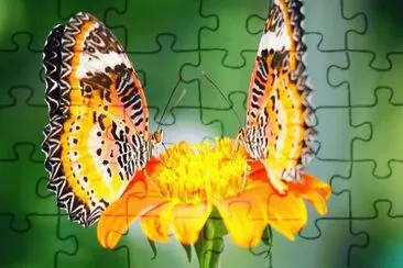 . jigsaw puzzle