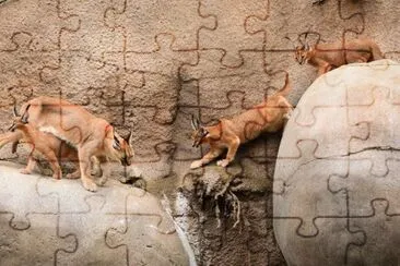 . jigsaw puzzle