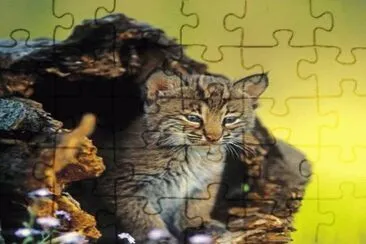 . jigsaw puzzle