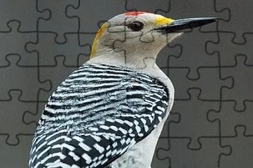 . jigsaw puzzle