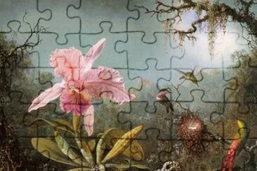 ColibrÃ­ dibujo jigsaw puzzle