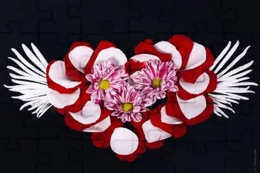 MARSU