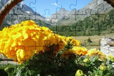 v jigsaw puzzle